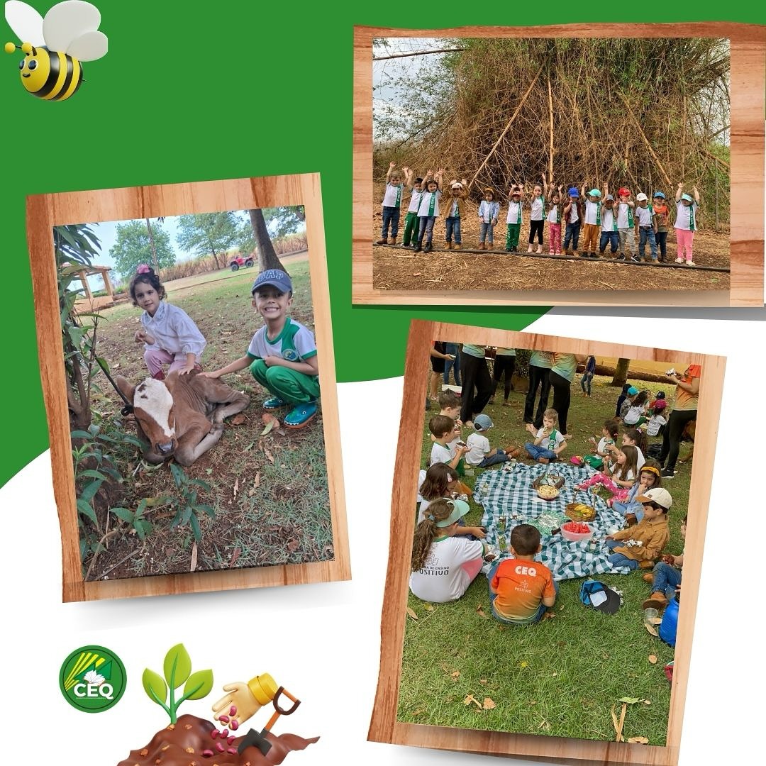 Crianças em atividades educativas CEQ